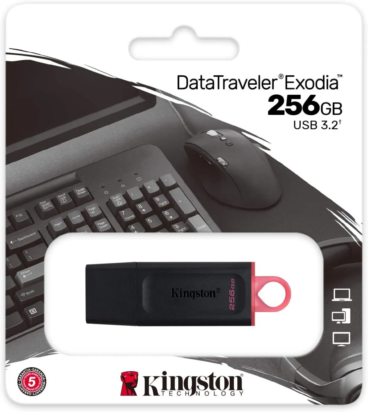 Kingston DataTraveler Exodia 256GB USB 3.2 Flash Drive